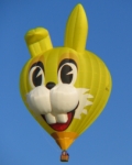 Funny Bunny